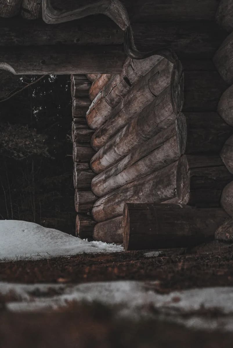 Exemple d'image BookNoFees : entrée enneigée d'une cabane en rondins foncés