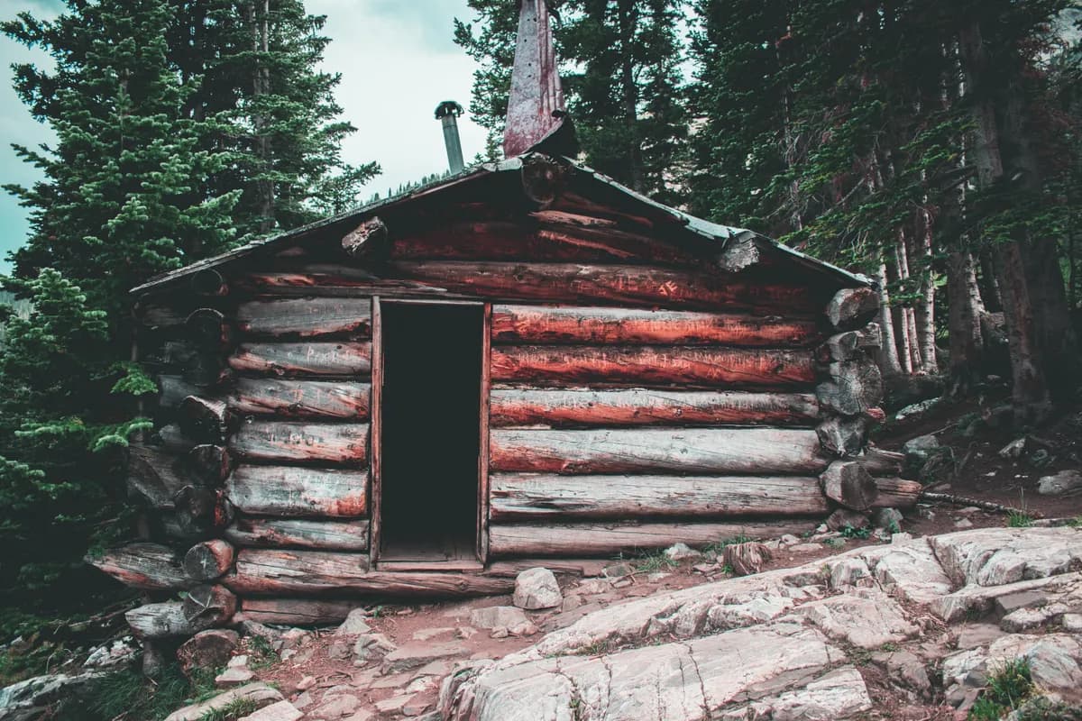 Exemple d'image BookNoFees : petite cabane en rondins nichée au milieu des arbres de la forêt