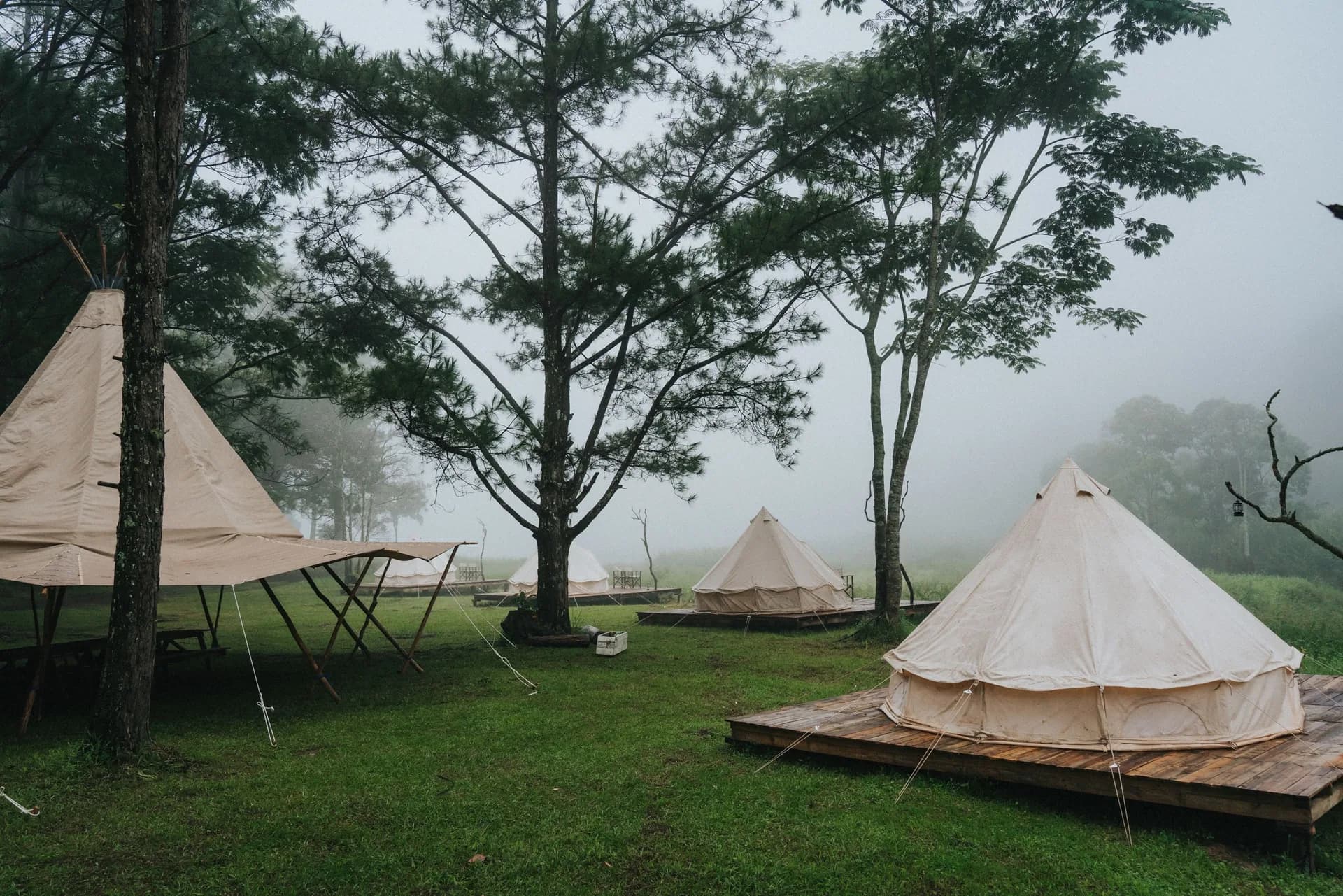 Exemple d'image BookNoFees : tentes de glamping dans un camping, au milieu des arbres, dans la brume