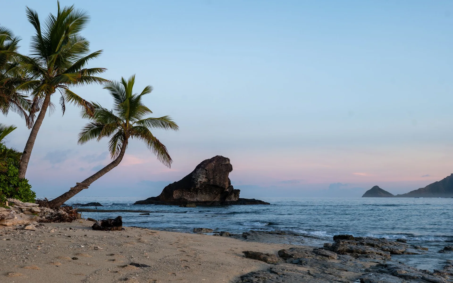 Des palmiers sur la plage de l’île de Kuata au lever du soleil