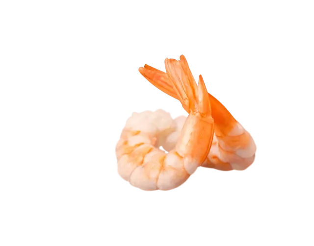 BookNoFees : Snack – WOKing – Warsaw – Réveille-toi, photo n° 3