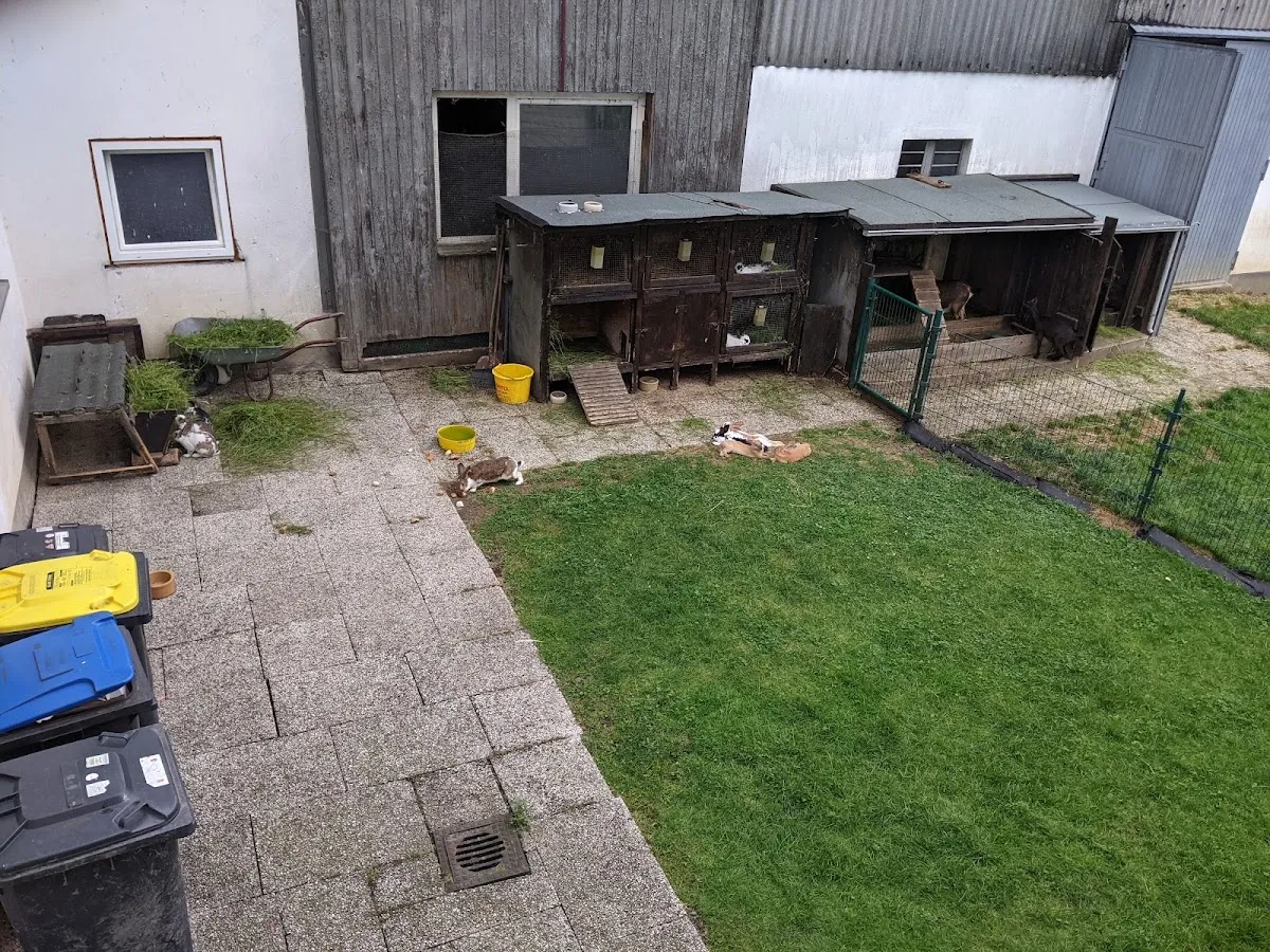 BookNoFees : Restaurant – Hof Kilbe – Bad Berleburg – Fête de la ferme, photo n° 1