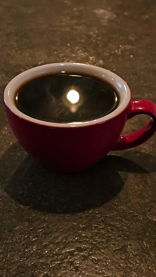 BookNoFees : Café – Eckers Cafe – Oslo – Eckers Café, photo n° 3