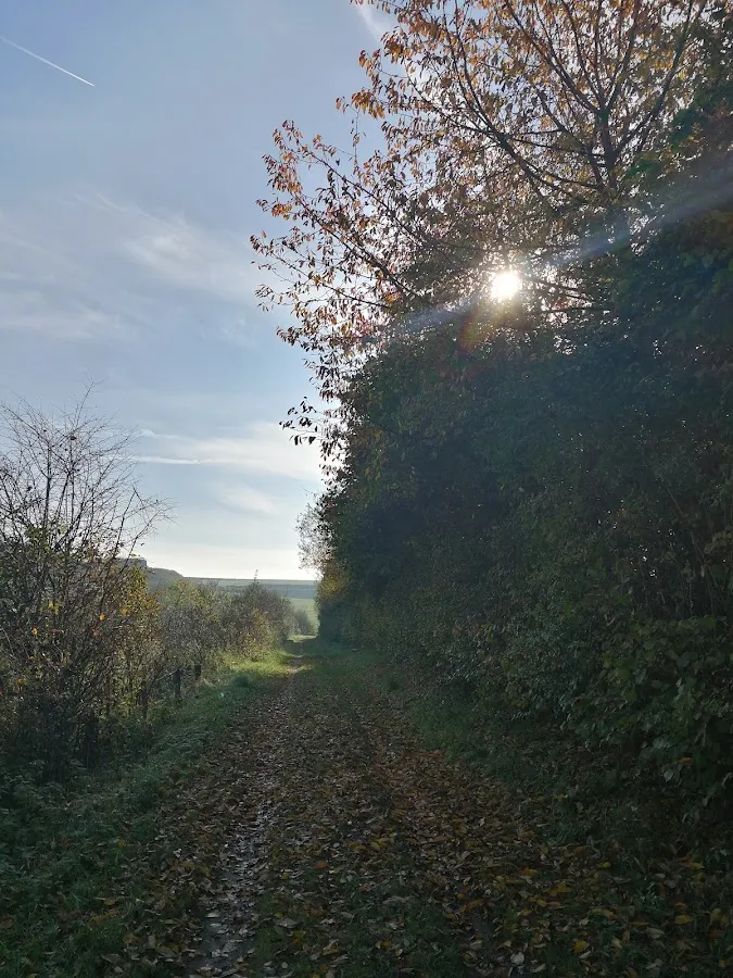 BookNoFees : Restaurant – Erlingser Treff – Marsberg – Rencontre d'Erlingser, photo n° 1