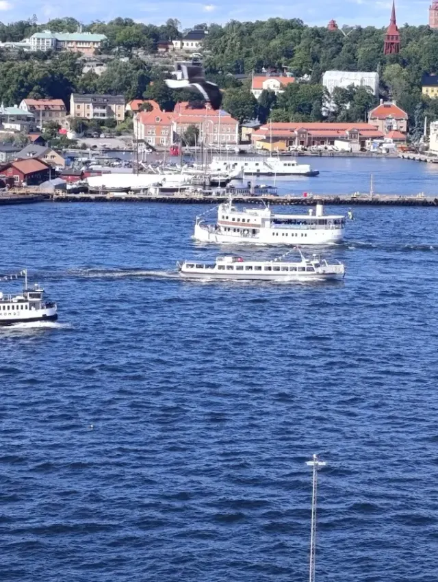 BookNoFees : Café – Fåfängan – Stockholm – La vanité, photo n° 2