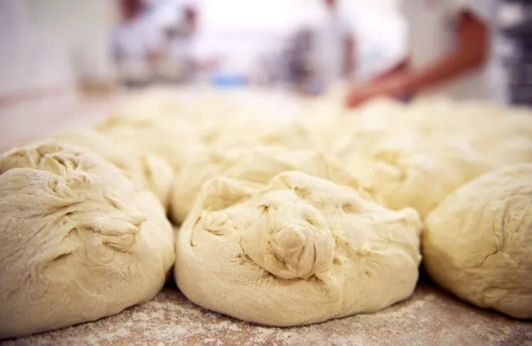 BookNoFees : Boulangerie – Aranycipó – Budapest – Toile d'araignée, photo n° 1