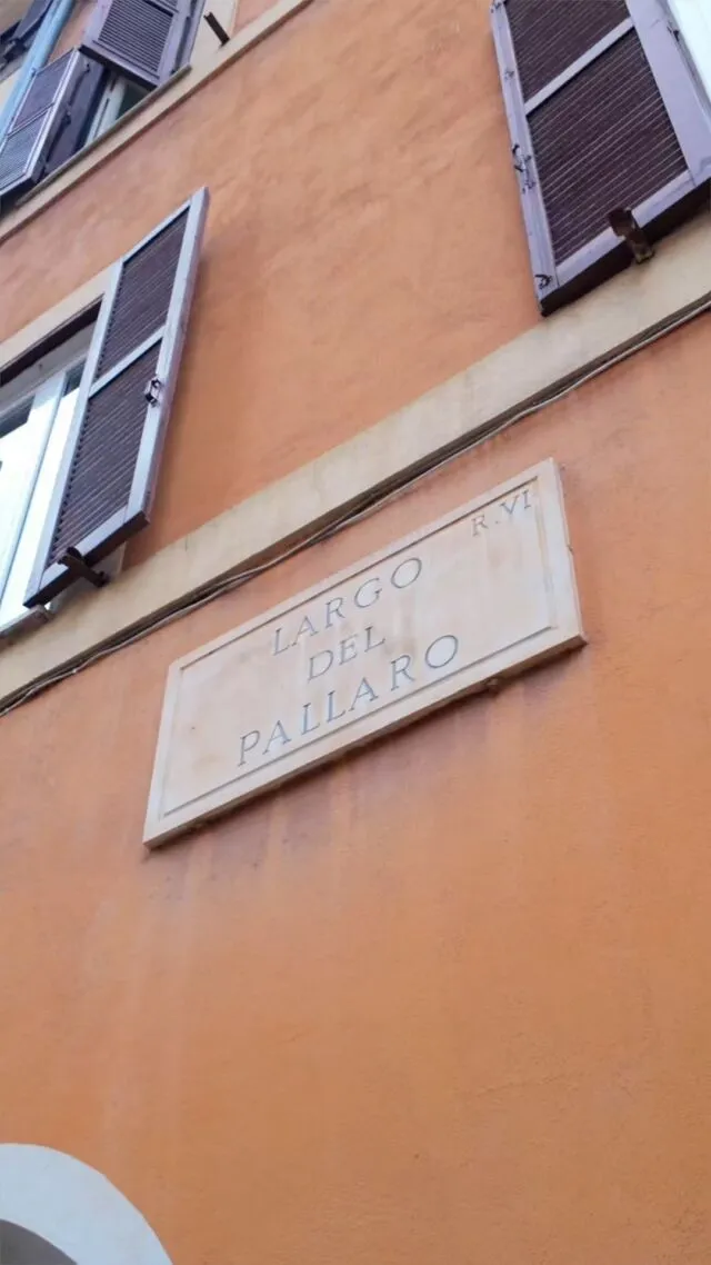 BookNoFees : Café – Le Tartarughe – Rome – Les tortues, photo n° 2