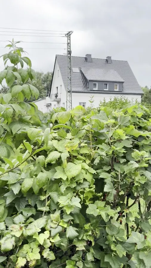 BookNoFees : Restaurant – Landgasthof Gruß Sebastian – Brilon – Auberge de campagne « Gruß » – Sebastian, photo n° 3