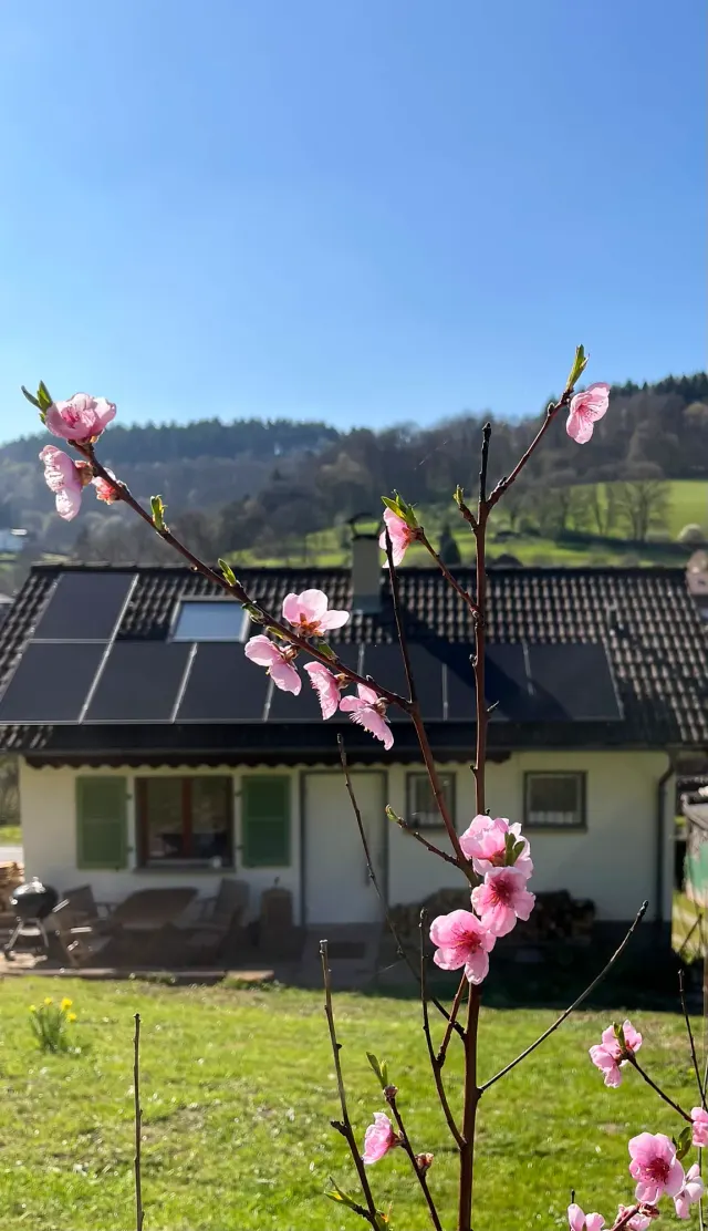 BookNoFees: Maison de vacances Allemühl : une maison rien que pour vous ! – Allemühl