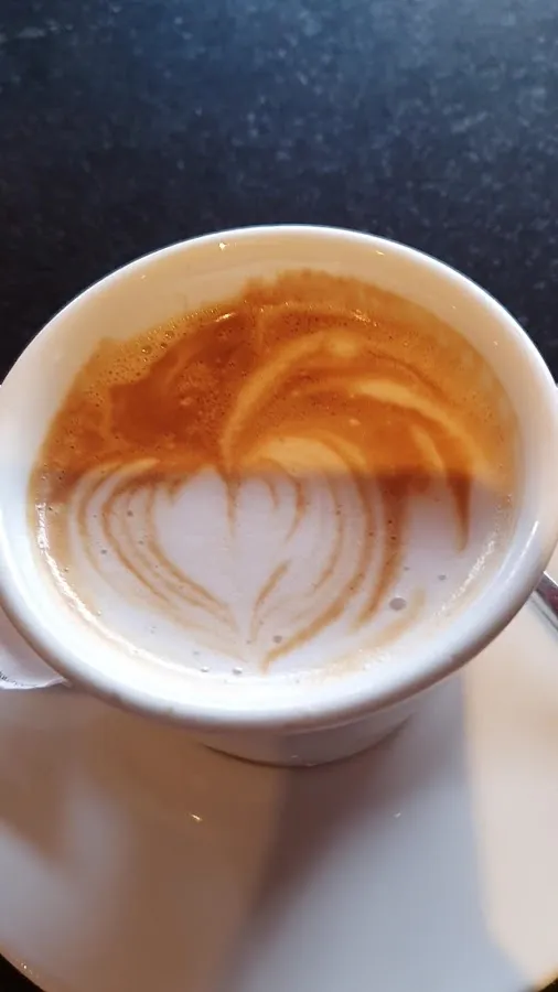 BookNoFees : Café – Bumerang – Zagreb – Boomerang, photo n° 3