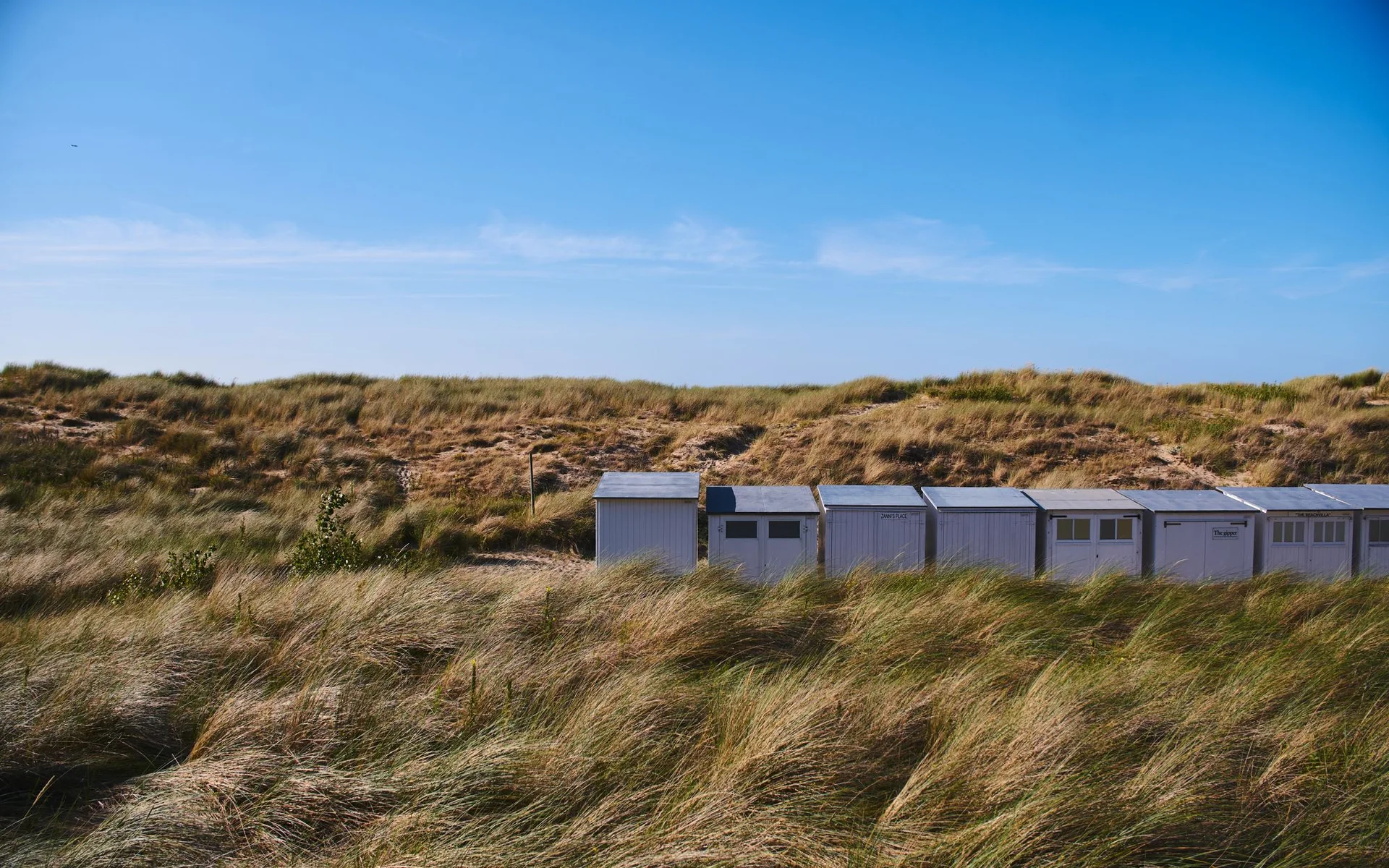 Maisons de plage entre les dunes à Knokke-Heist