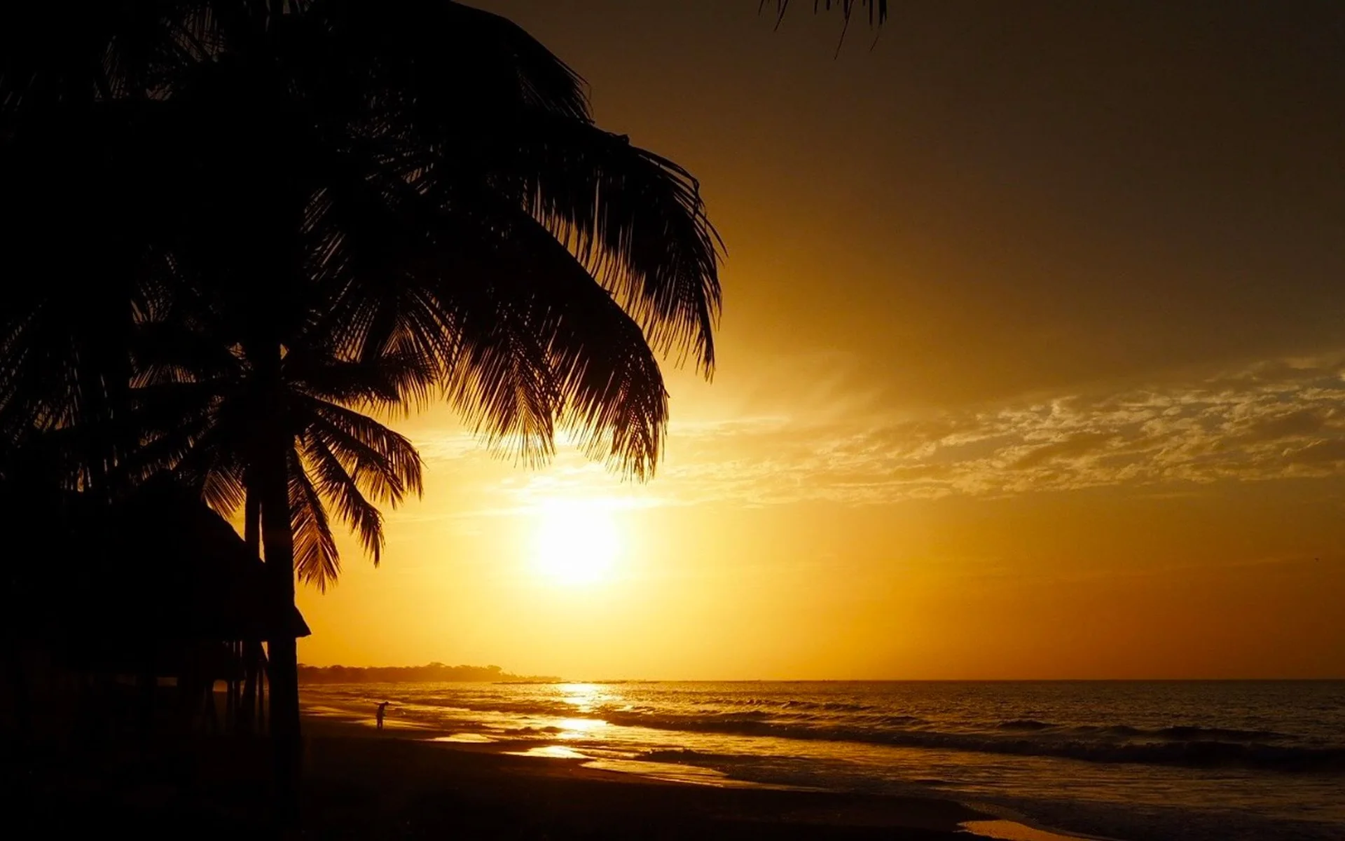 Des palmiers sur la plage de Gambie au coucher du soleil