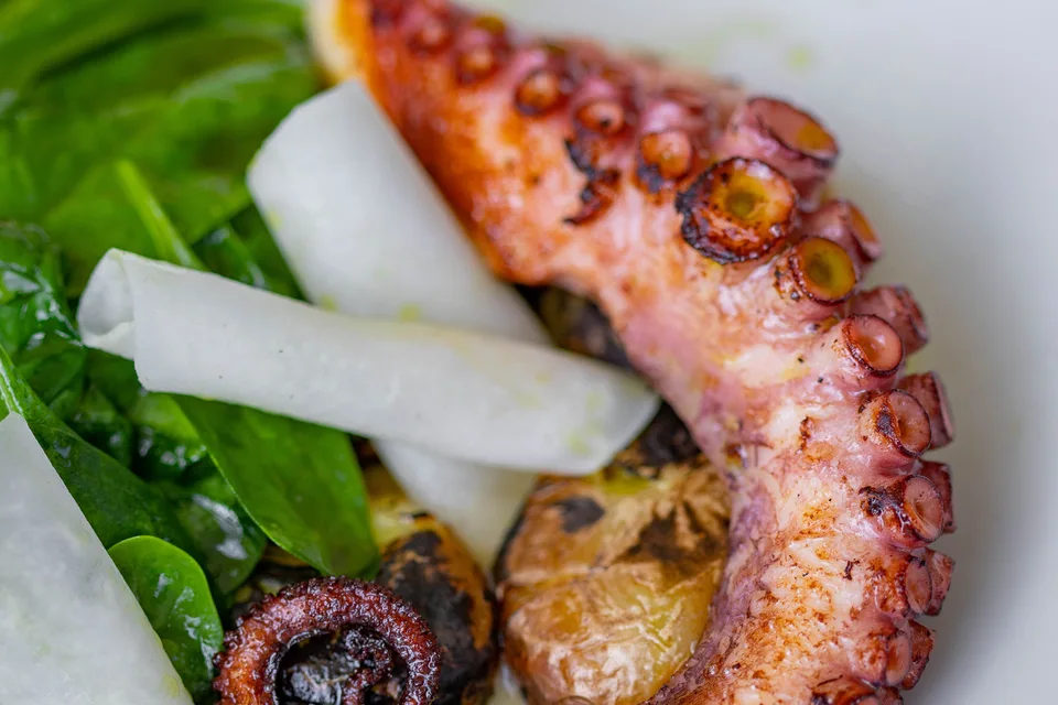 BookNoFees: Photo d’illustration : Poulpe grillé